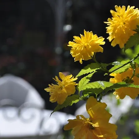 Kitapevi Hotel Bursa